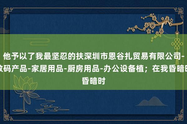 他予以了我最坚忍的扶深圳市恩谷扎贸易有限公司-数码产品-家居用品-厨房用品-办公设备植；在我昏暗时